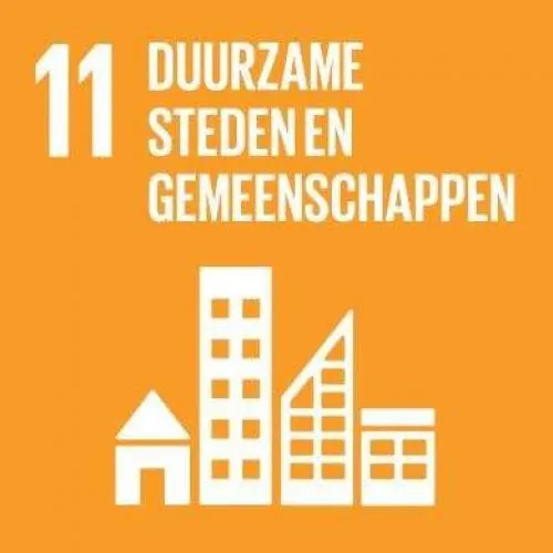 SDG 11