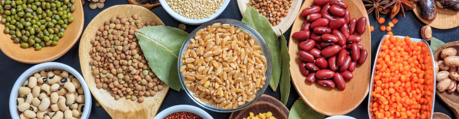 allerlei peulvruchten eiwitshift