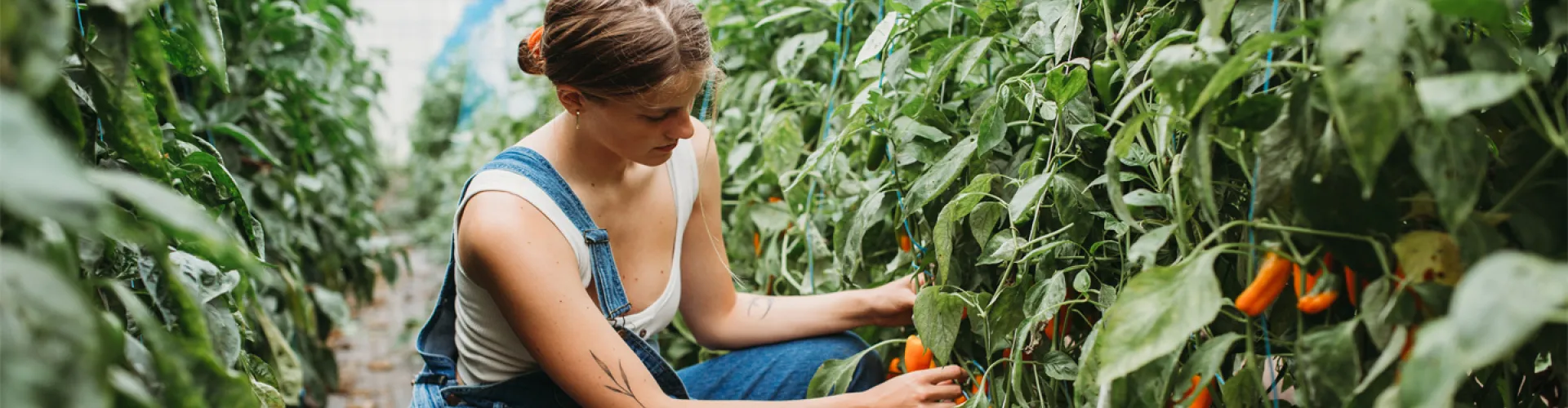 Het geheime ingrediënt van Food&i: inclusiviteit