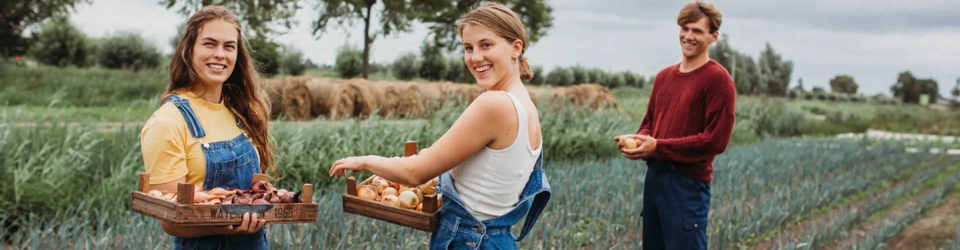 mensen houden verse groenten vast 