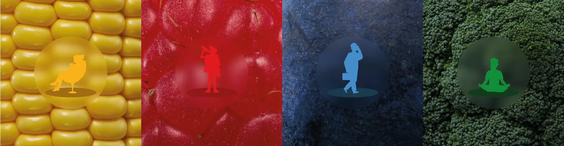 Leefstijlscan kleuren