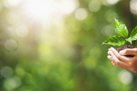 Journée mondiale de l’environnement 